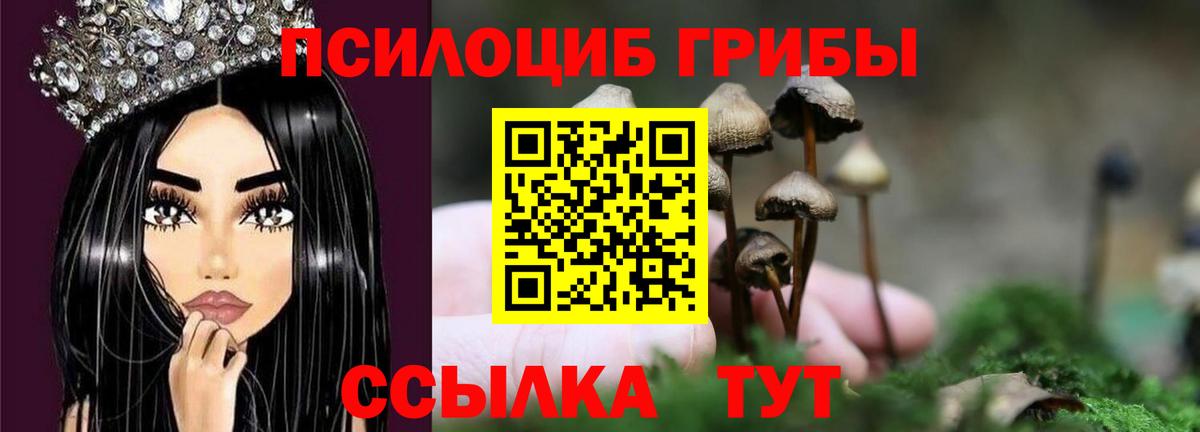 Галлюциногенные грибы Magic Shrooms Мыски